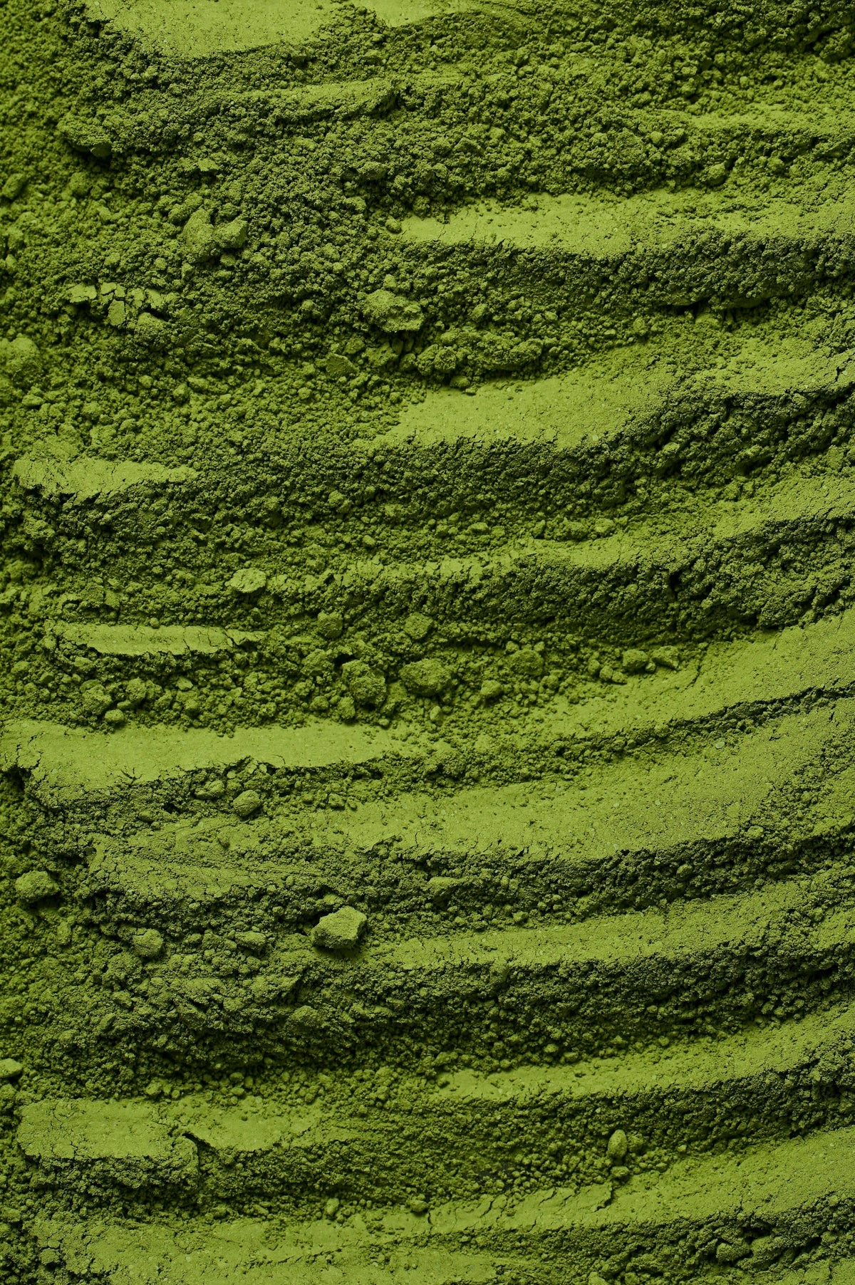 Moringa Leaf Powder: Possible Side Effects and Considerations