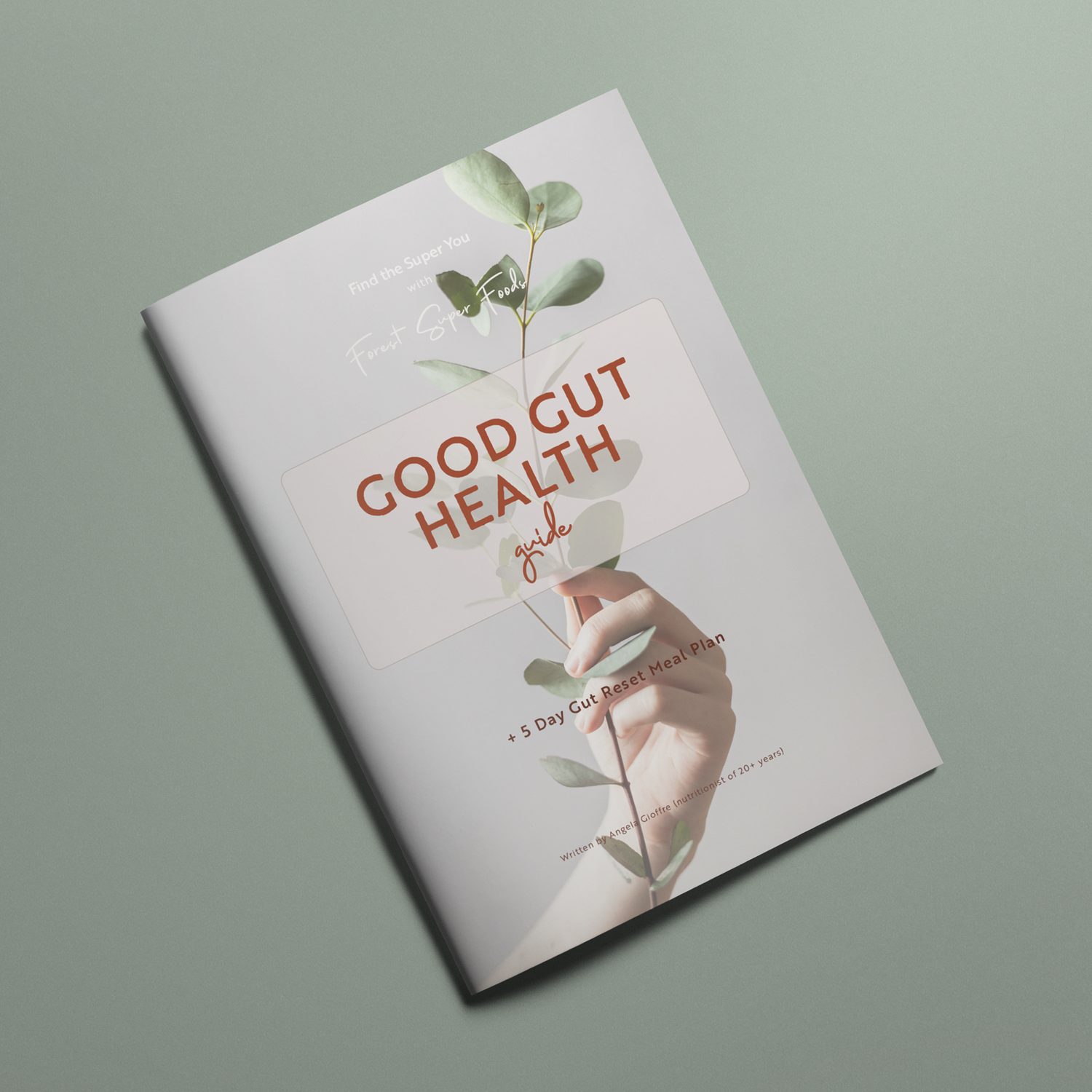 Feel Lighter, Energised, and Less Bloated in 5 Days.