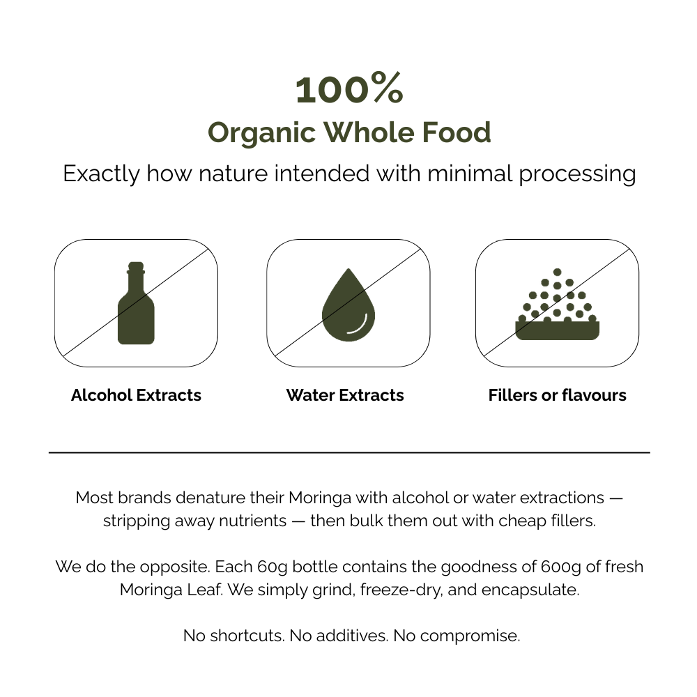 Advertisement for 100% organic pure Moringa leaf with icons and text about alcohol extracts, water extracts, and fillers.