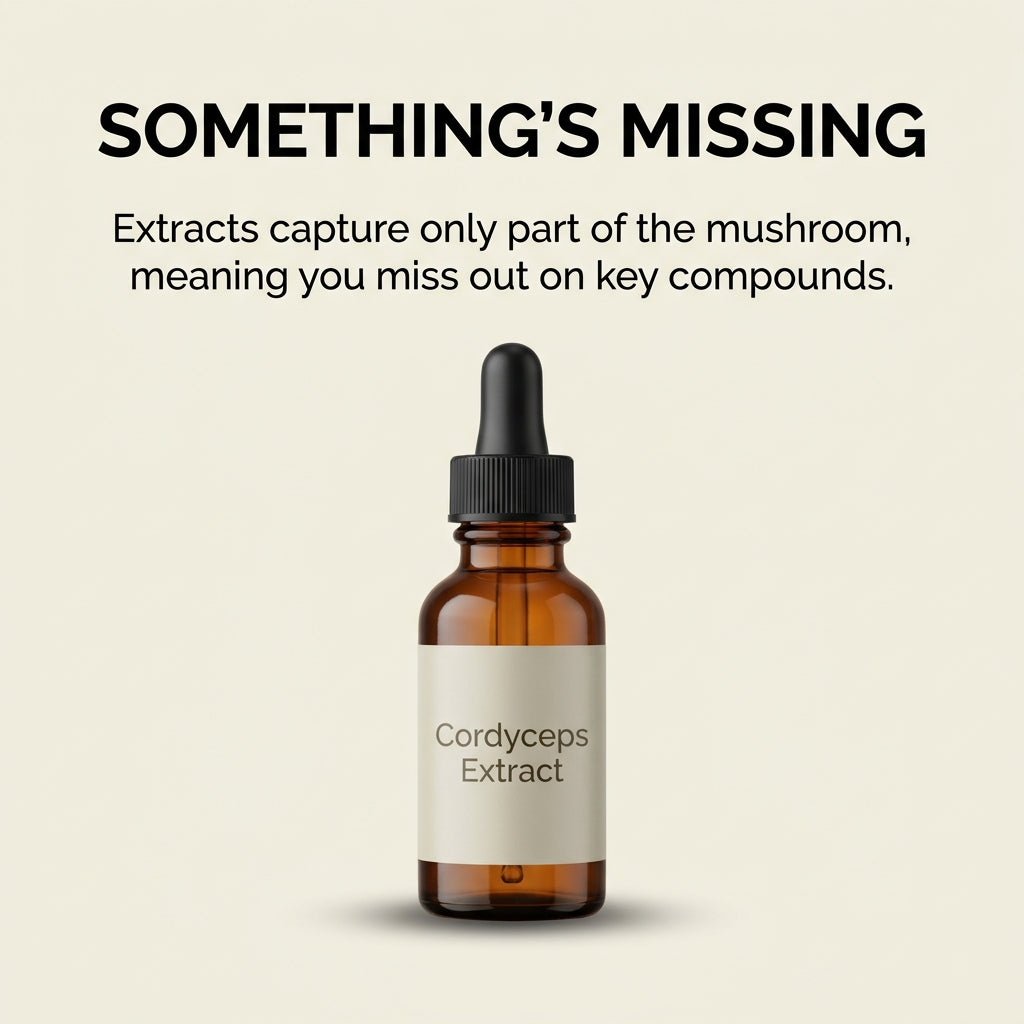 Australian Grown Cordyceps Mushroom