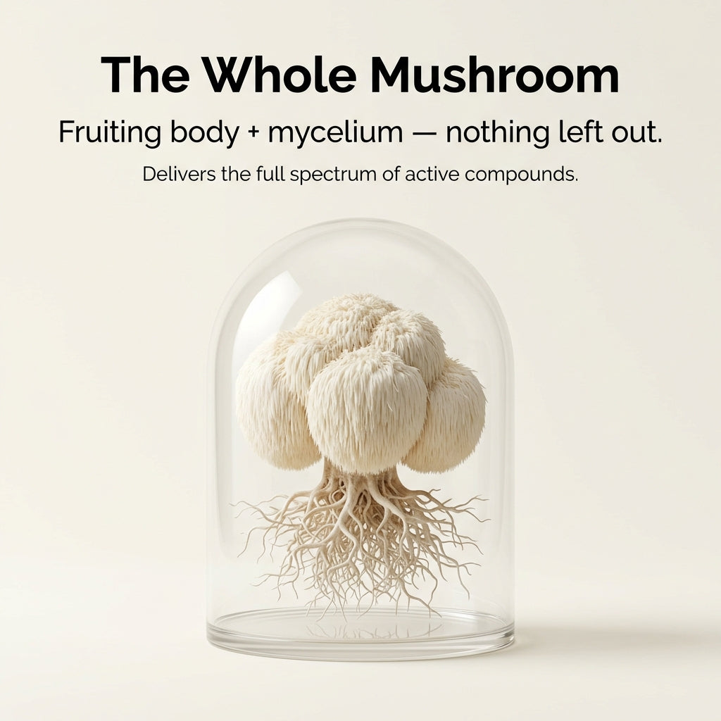 The Daily Mushroom Stack