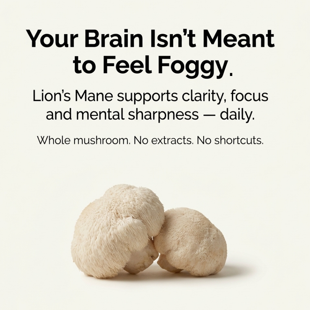 Australian Grown Lions Mane Powder