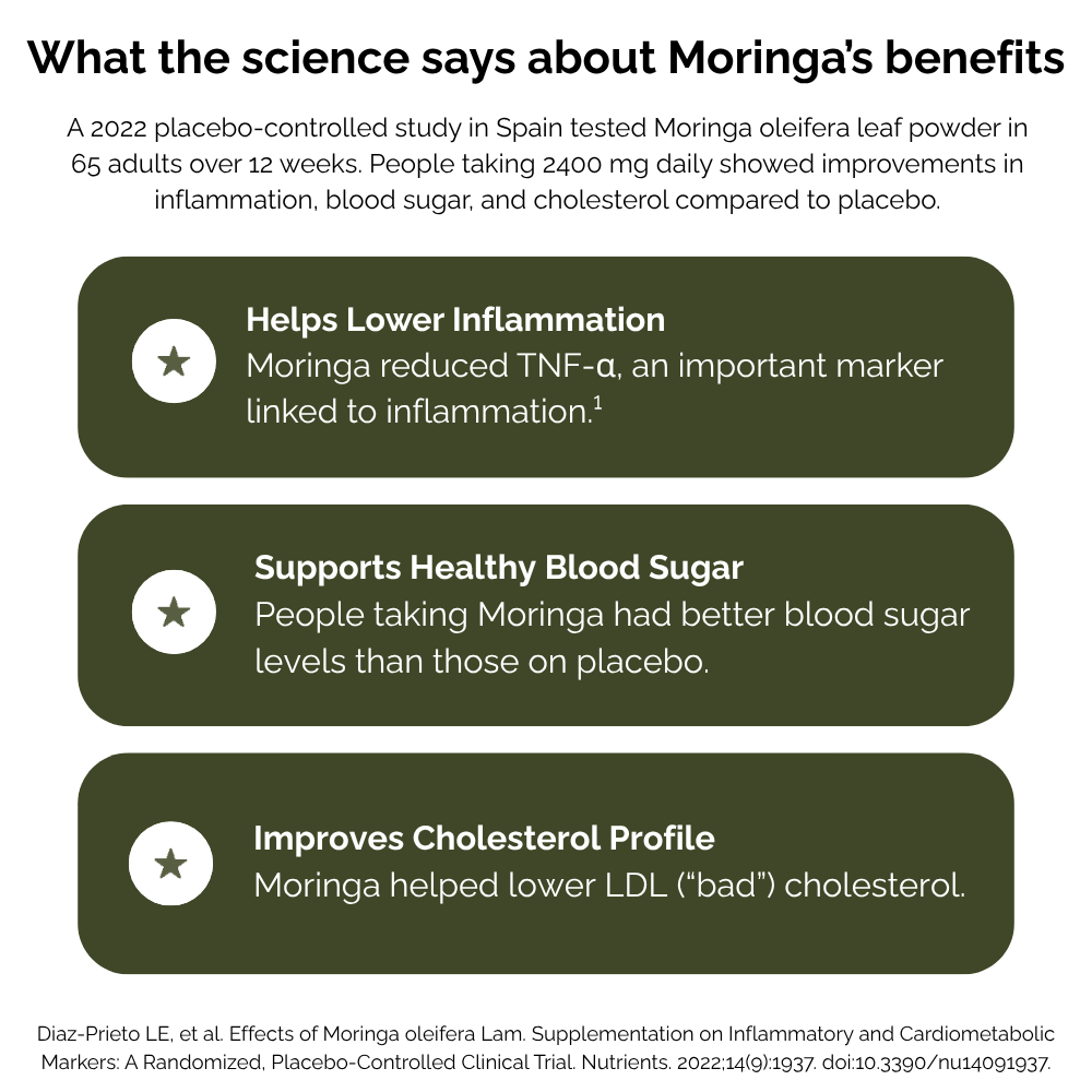 Scientific infographic explaining health benefits of Organic Moringa Capsules including inflammation, blood sugar, and cholesterol support
