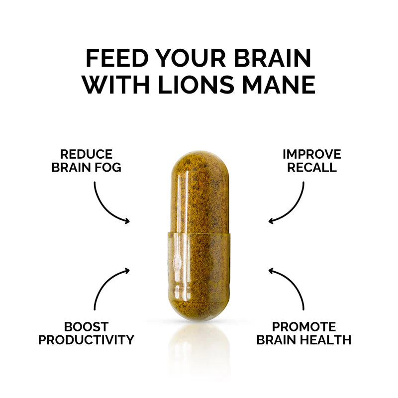 Lions Mane Mushroom Capsules – Whole Food Supplement by Forest Super Foods
