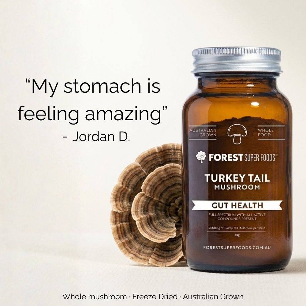 Australian Turkey Tail Mushroom Powder | FSF